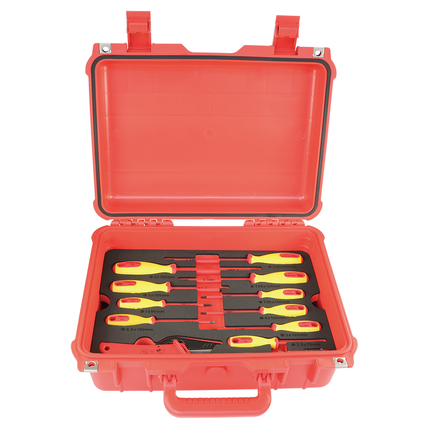 Werkzeugsatz für Hybrid & Elektrofahrzeuge gross WKHYE50 - Hischier Auto AG