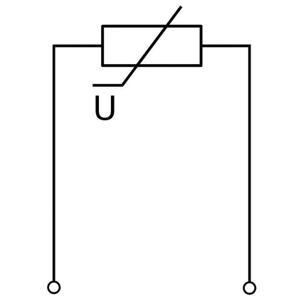 Electronic-Protector 24 V GP24 - Hischier Auto AG
